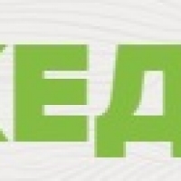 ООО Кедръ